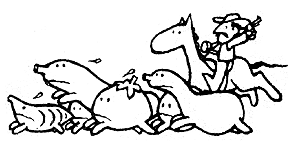 Managing your garden produce is sometimes very like corralling a stampede of vegetables.